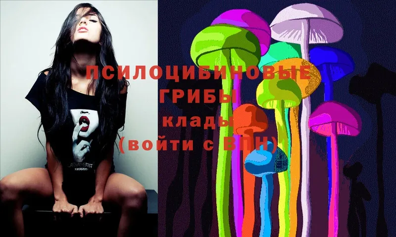 Галлюциногенные грибы Psilocybe  купить  цена  Апрелевка 